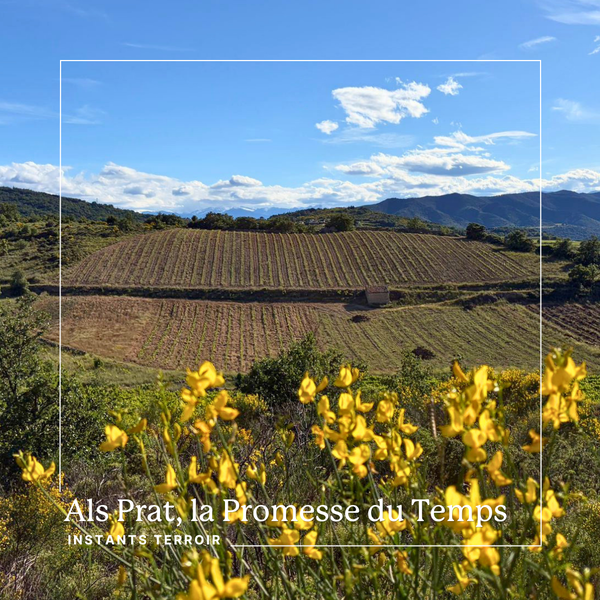 clos58 instants (27)